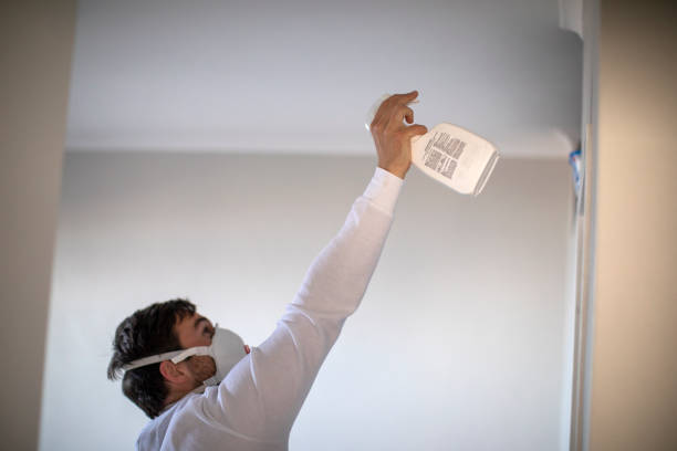 Attic Mold Removal in Sidney, NE